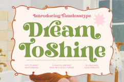 Dream Shine - Playful Vintage Serif Product Image 1