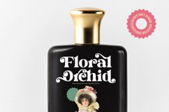 Dream Shine - Playful Vintage Serif Product Image 13