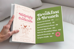 Dream Shine - Playful Vintage Serif Product Image 16