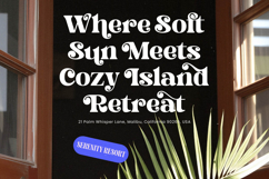 Dream Shine - Playful Vintage Serif Product Image 18