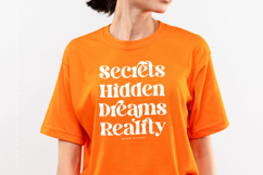 Dream Silvers - Modern Alternate Serif Font Product Image 4