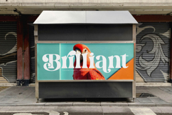 Dream Silvers - Modern Alternate Serif Font Product Image 7