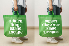 Dream Silvers - Modern Alternate Serif Font Product Image 11
