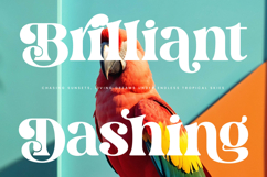 Dream Silvers - Modern Alternate Serif Font Product Image 17