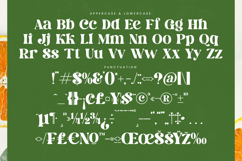 Dream Silvers - Modern Alternate Serif Font Product Image 19