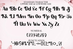 Dream ToShine Product Image 7