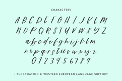 Dreamwild Script Product Image 10