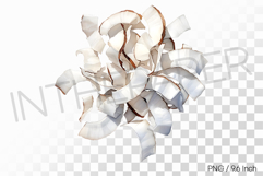 White Crispy Dehydrated Coconut PNG Fruit Clipart Illust Product Image 1