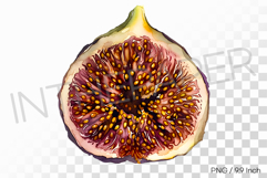 Rich Textured Dehydrated Dried Fig PNG Fruit Clipart Illust Product Image 1