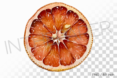 Bitter Sweet Dehydrated Grapefruit PNG Fruit Clipart Illust Product Image 1