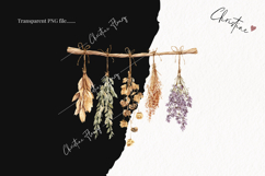 Cozy Halloween Dried Herbs | Halloween PNG Product Image 2