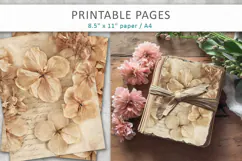 Dried Hydrangea junk journal pages, dried flower paper Product Image 4