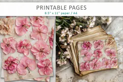 Dried Hydrangea vintage botanical pages Product Image 5