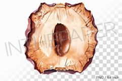 Herbal Dehydrated Dried Jujube PNG Fruit Clipart Illust Product Image 1