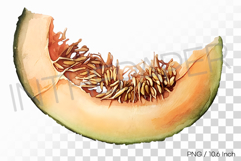 Textured Flesh Dehydrated Dried Melon PNG Fruit Clipart Product Image 1