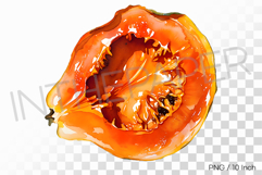 Tropical Orange Dehydrated Papaya PNG Fruit Clipart Illust Product Image 1