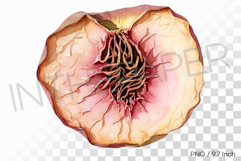 Soft Pinkish Dehydrated Dried Peache PNG Fruit Clipart Product Image 1