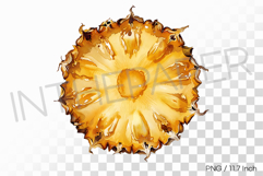 Ring Shaped Dehydrated Pineapple PNG Fruit Clipart Illust Product Image 1