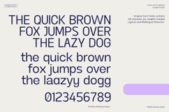 Drogma Sans Variable Typeface Product Image 3