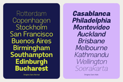 Drogma Sans Variable Typeface Product Image 5