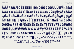 Drogma Sans Variable Typeface Product Image 11