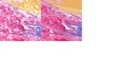Dry Brush Flicks Watercolor Digital Papers Glitter Product Image 5