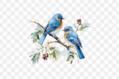 Snow Bird Couple Sublimation Clipart Product Image 2