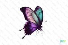 Purple Teal Hand Drawing Butterfly Clipart Product Image 1
