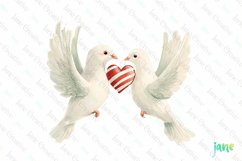 Retro Dove Couple Valentine&#039;s PNG Product Image 1