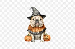 Bulldog Halloween Costumes Sublimation Clipart Product Image 2