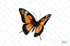 Orange Hand Drawing Butterfly Clipart Product Image 1