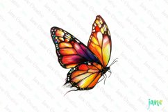 Orange Hand Drawing Butterfly Clipart Product Image 1