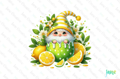 Spring Gnome Lemon Garden Clipart Product Image 1