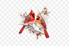 Snow Northern Cardinal Sublimation Clipart Product Image 2