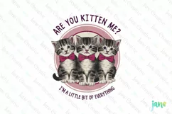 Are You Kitten Me Vintage Funny Cat Clipart Product Image 1