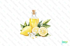 Watercolor Lemon Clipart PNG File Product Image 1