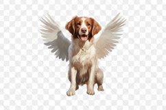 Angel Brittany Dog Sublimation Clipart Product Image 3
