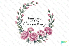 January - Watercolor Carnations Birth Month Flower Clipart Product Image 1