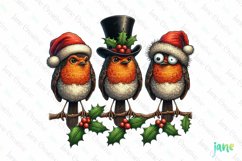 Christmas Birds Sublimation Clipart Product Image 1
