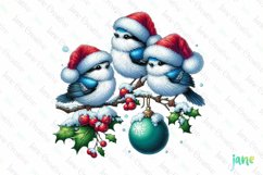 Christmas Birds Sublimation Clipart Product Image 1