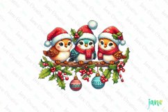 Christmas Birds Sublimation Clipart Product Image 1