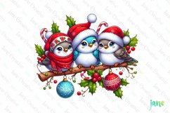 Christmas Birds Sublimation Clipart Product Image 1