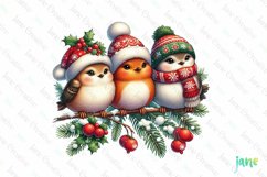 Christmas Birds Sublimation Clipart Product Image 1