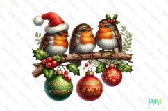 Christmas Birds Sublimation Clipart Product Image 1