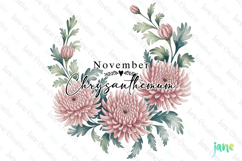 November - Watercolor Chrysanthemum Birth Month Flower PNG Product Image 1