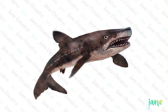 cookiecutter shark Isistius brasiliensis Watercolor Sharks Product Image 1