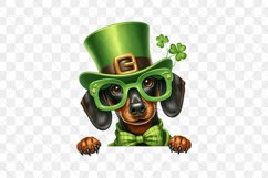 Dachshund St Patrick’s Day Peeking Dog Product Image 2