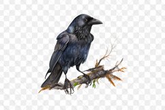 Dark Witch Watercolor Sublimation Clipart Product Image 4