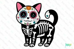 Birman Day of The Dead Cat Sublimation Clipart Product Image 1