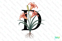 Daylily Letter D Clipart Product Image 1